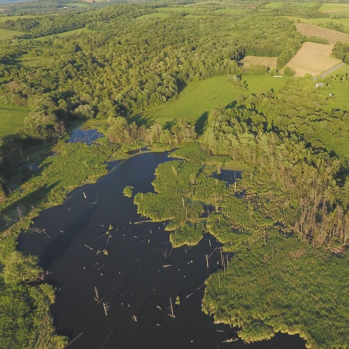 Drone view over the property showing pond and fields