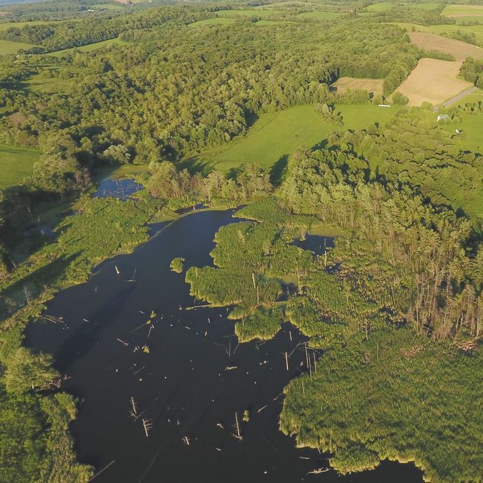Aerial view of the pond surrounded by woods and fields