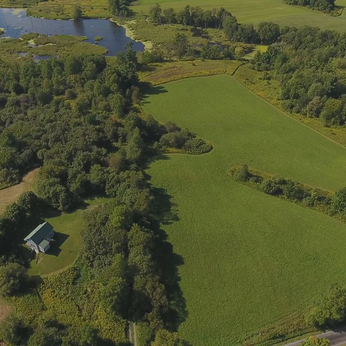 Aerial view of the fields and tree line across the property