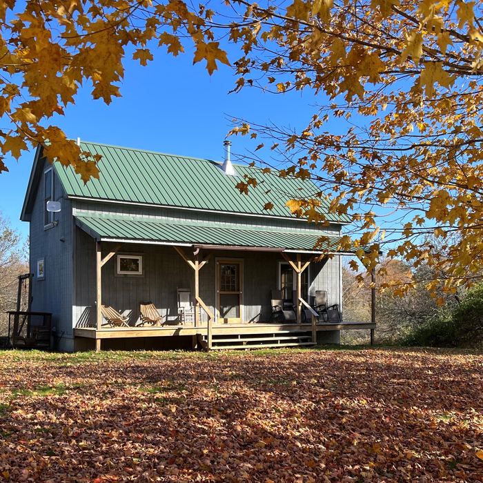 The cabin with its green roof under autumn leaves