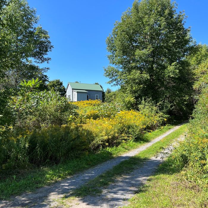 Gravel trail leading up to the cabin in summer