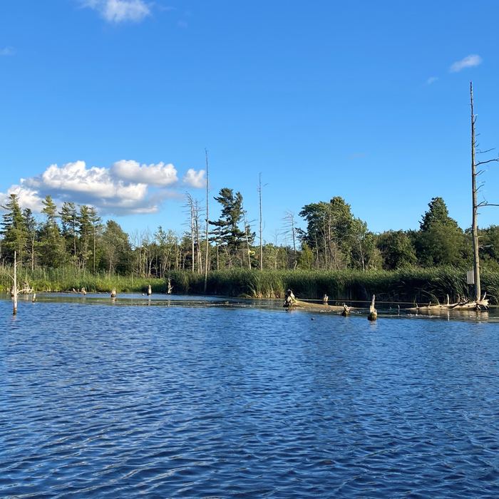 Minden Pond under a blue summer sky