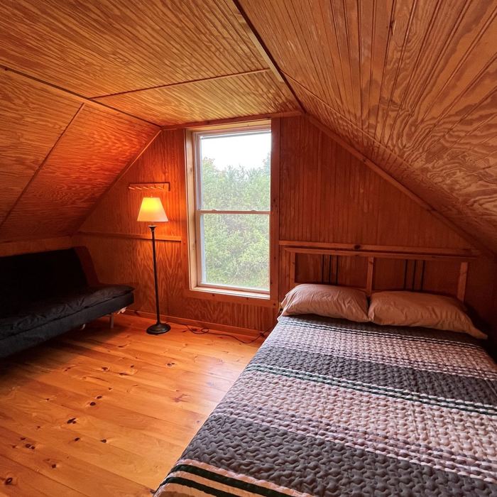 Loft with a bed and futon under a sloped ceiling