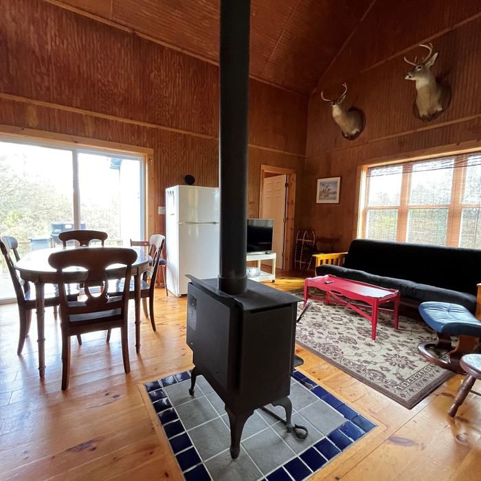 Living area with wood stove and dining table